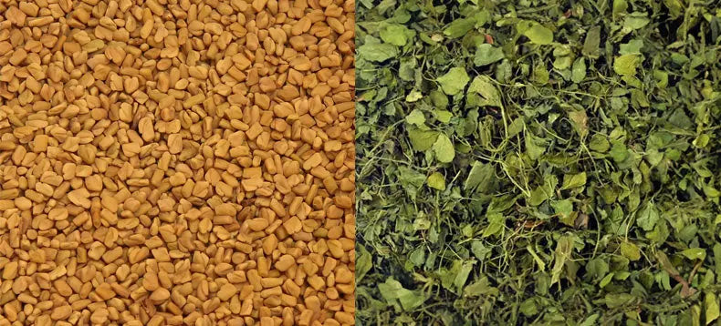Side by side image of fenugreek seeds and dried fenugreek leaves
