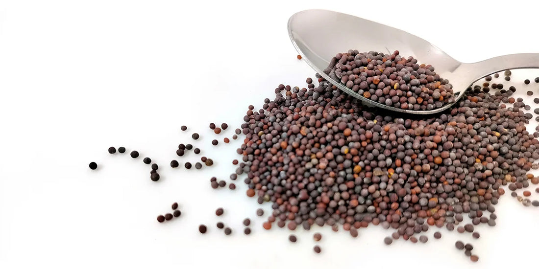 What Are Mustard Seeds Called in Hindi? (Rai राई)