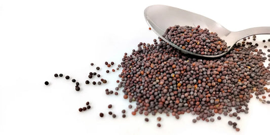 What Are Mustard Seeds Called in Hindi? (Rai राई)