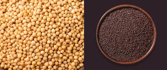 What are Mustard Seeds? Everything You Need to Know