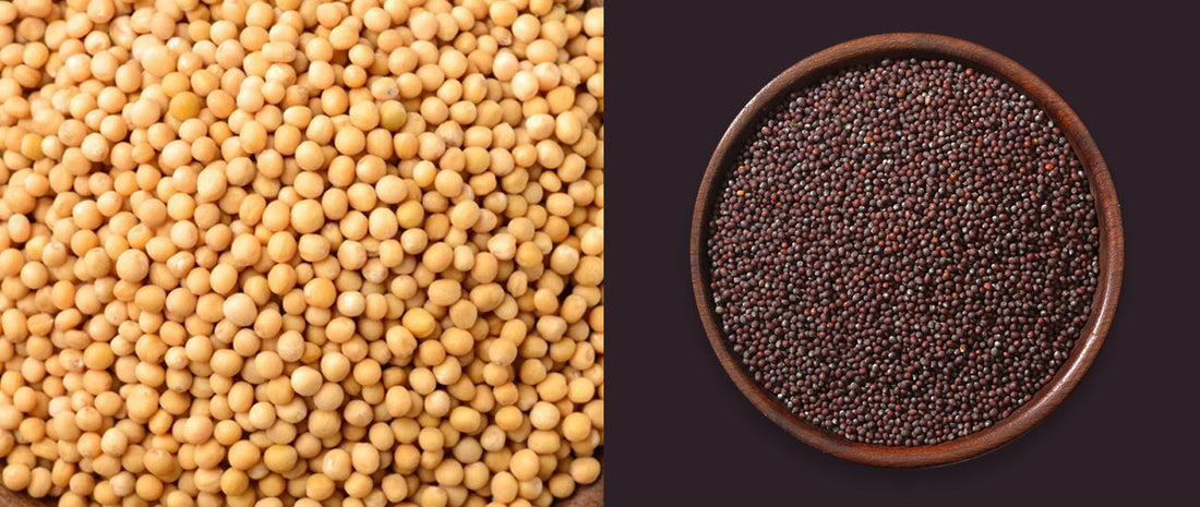What are Mustard Seeds? Everything You Need to Know