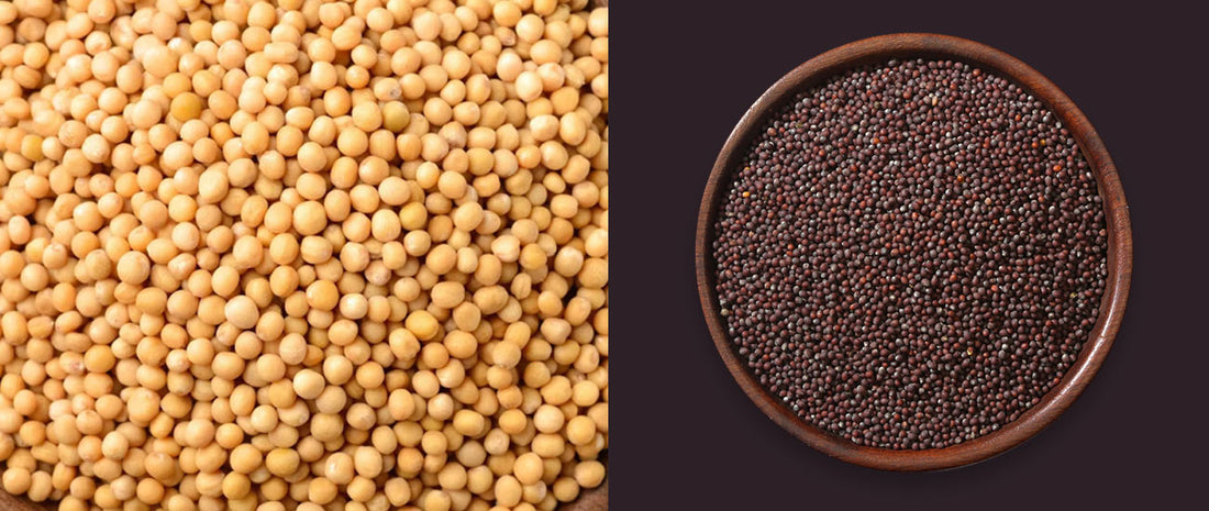 What Are Mustard Seeds? Types, Uses & How to Cook Them