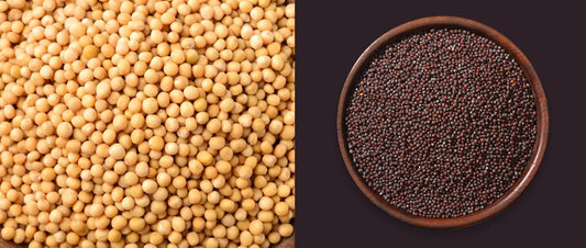 What Are Mustard Seeds? Types, Uses & How to Cook Them