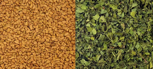Side by side image of fenugreek seeds and dried fenugreek leaves