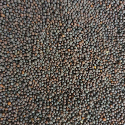 Black Mustard Seeds